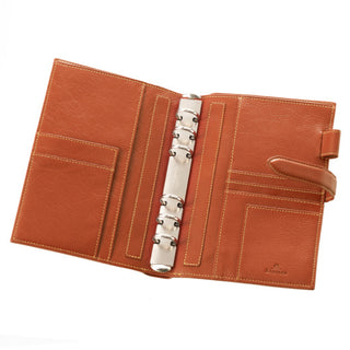 Deep BIBLE 19mm belt